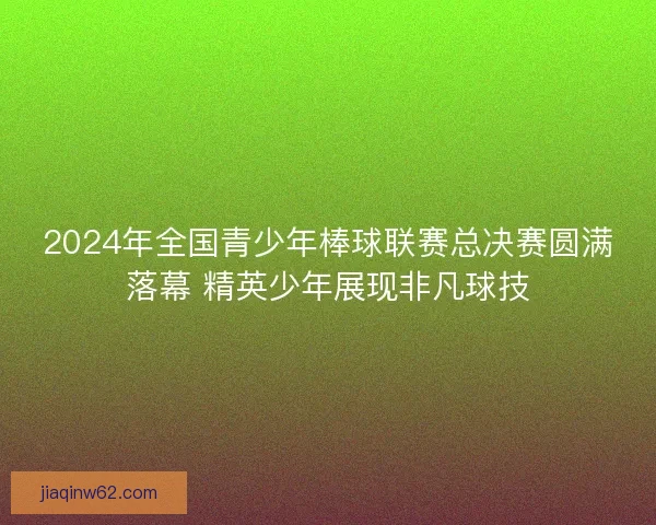 2024年全国青少年棒球联赛总决赛圆满落幕 精英少年展现非凡球技