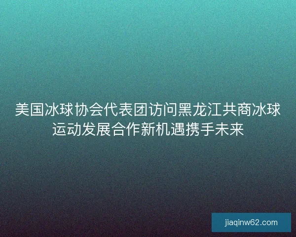 美国冰球协会代表团访问黑龙江共商冰球运动发展合作新机遇携手未来
