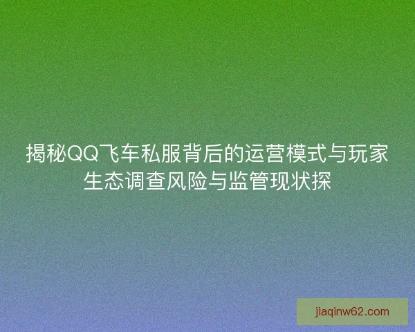 揭秘QQ飞车私服背后的运营模式与玩家生态调查风险与监管现状探